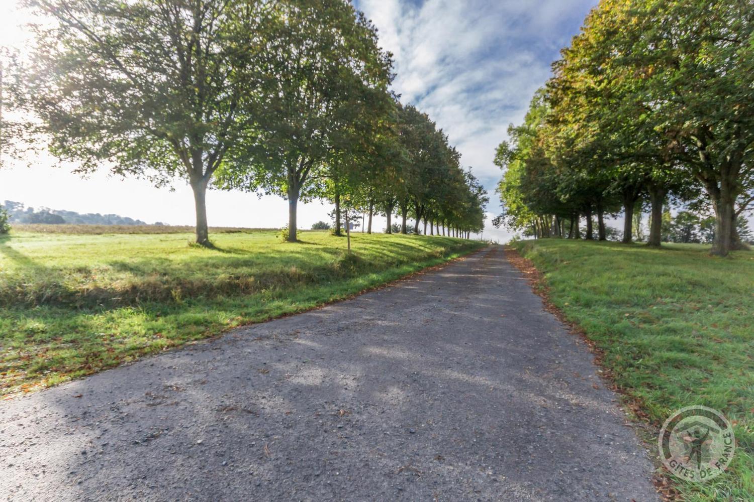 L'Atelier A L'Oree Des Bois Saint-Pierre-en-Auge Bagian luar foto